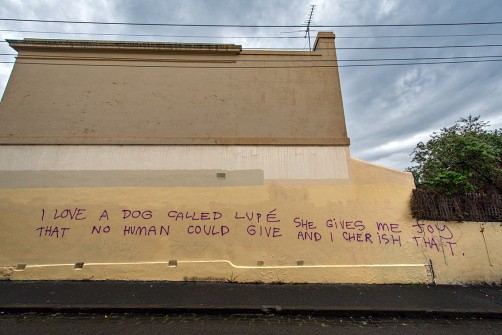 all-those-shapes_-_messages_-_i-love-a-dog-called-lupe_-_fitzroy