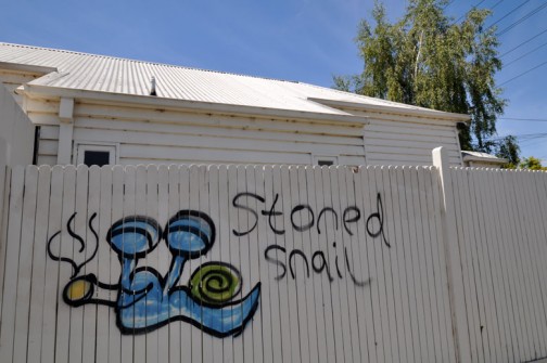 all-those-shapes_-_randoms_-_stoned-snail_-_northcote