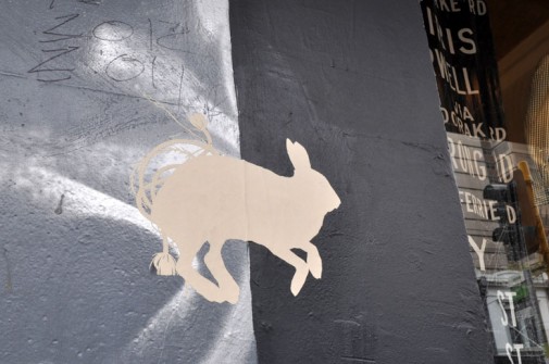 all-those-shapes_-_miso_-_paste-bunny-rope_-_fitzroy