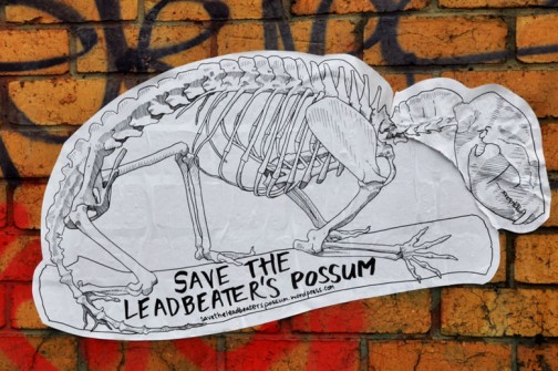 all-those-shapes_-_randoms_-_save-the-lead-beters-possum_-_northcote