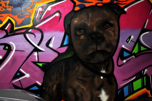 all-those-shapes_-_randoms_-_brown-woof-woof_-_south-melbourne