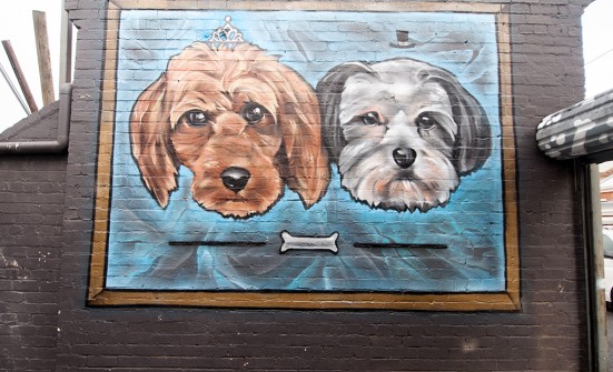 all-those-shapes_-_putos_-_family-pooches_-_fitzroy