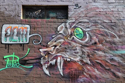 all-those-shapes_-_putos_-_green-eyed-lion_-_fitzroy