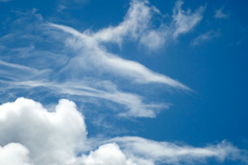 all_those_shapes_-_shida_cloud_gator_-_northcote