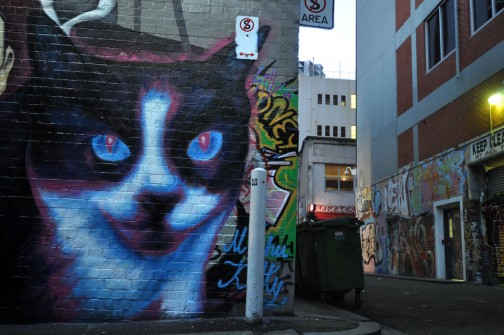 all-those-shapes_-_silly_-_mashu-kitty_-_melbourne