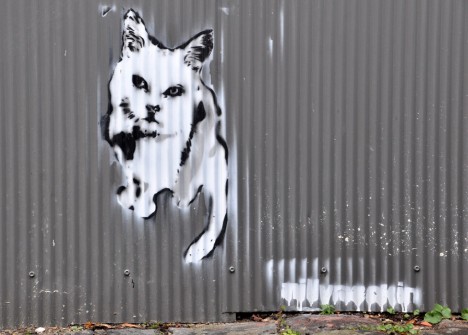 all-those-shapes_-_stencil_-_corry-cat_-_fitzroy-north
