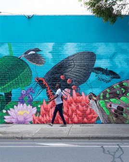 all-those-shapes_-_eric-sesto_-_butterfly-walk_-_footscray