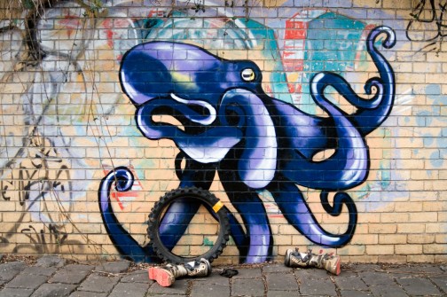 all-those-shapes_-_randoms_-_octopus-out-of-water_-_clifton-hill.jpg
