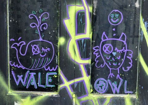 all-those-shapes_-_randoms_-_wale-and-owl_-_fitzroy