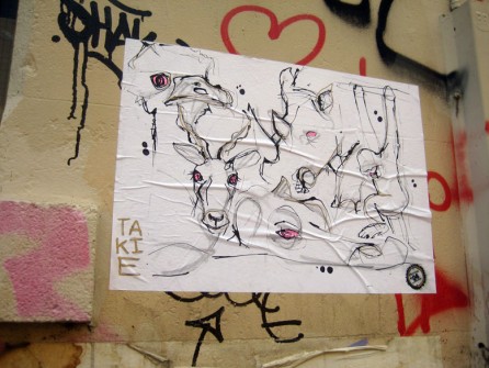 all-those-shapes_-_takie_-_pink_eye_animals_-_fitzroy