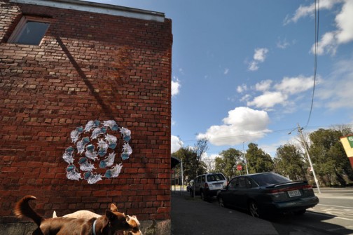 all-those-shapes_-_doctor_-_jellyfish-circle_-_north-fitzroy