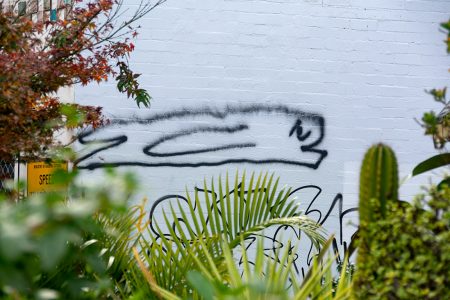 all-those-shapes_-_lunoy_-_garden-whale_-_north-fitzroy