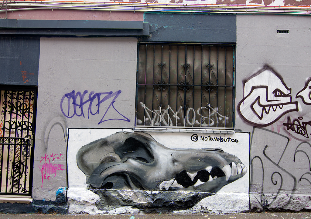all-those-shapes_-_notonebuttoo_-_dog-skull_-_fitzroy