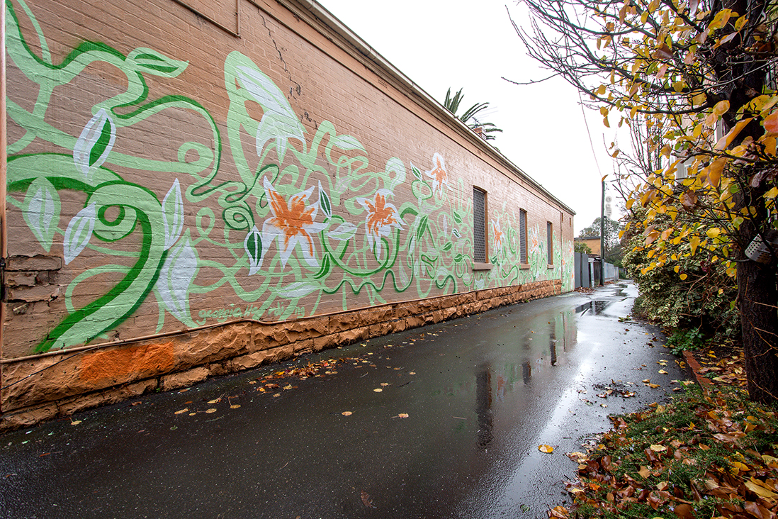 all-those-shapes_-_street-art_-_georgia-harding-alley-vines_-_fitzroy-north