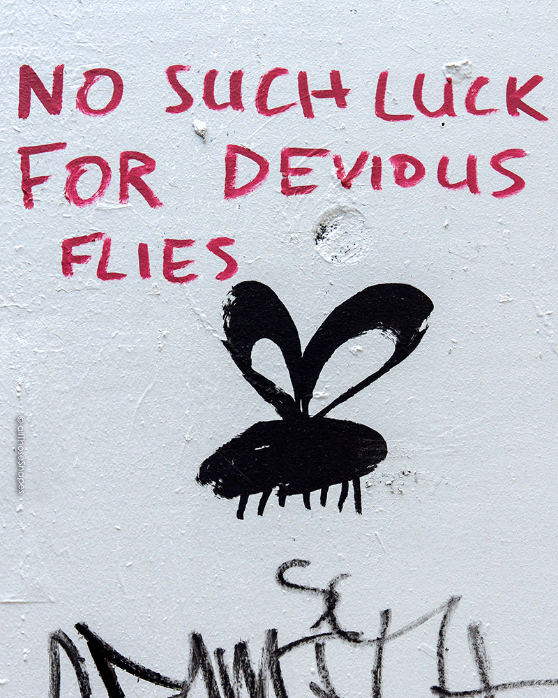 all-those-shapes_-_messages_-_no-such-luck-for-devious-flies_-_abbotsford