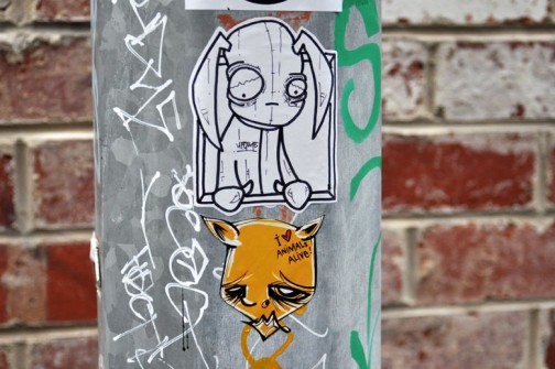 all-those-shapes_-_lifetime-stickyfingers_-_i-love-animals-alive_-_fitzroy