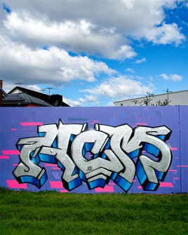 all-those-shapes_-_graffiti_flus_-_acm_-_bruswick