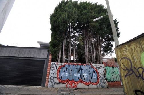 all-those-shapes_-_gums_-_gums-trees_-_fitzroy