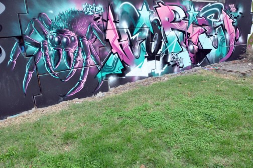 all-those-shapes_-_spider-graffiti_-_northland
