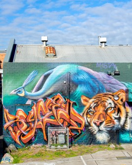 all-those-shapes_-_street-art_graffiti_boyse_boorvoo2_narrm_-_tiger-swirls_-_windsor